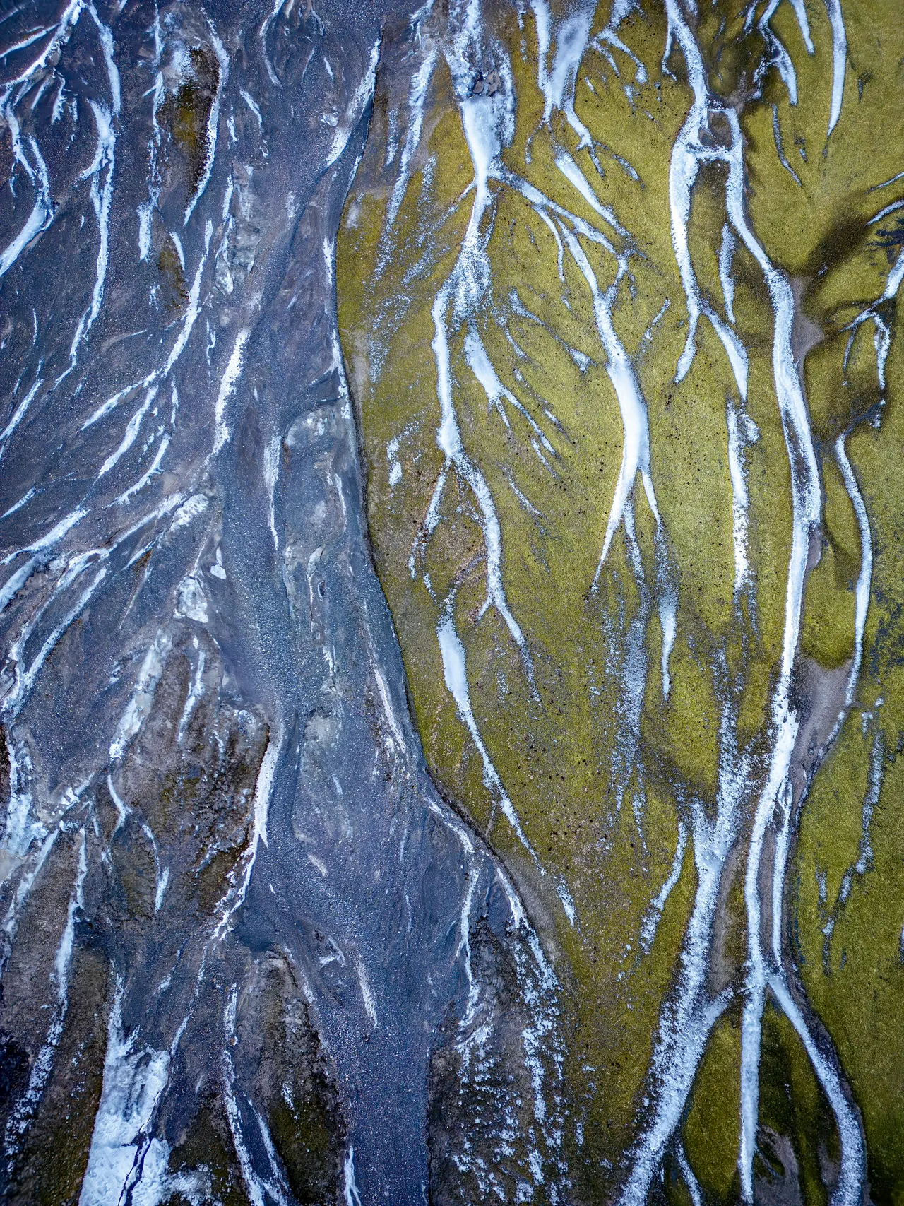 An aerial view of braided river channels branching across muted green flats