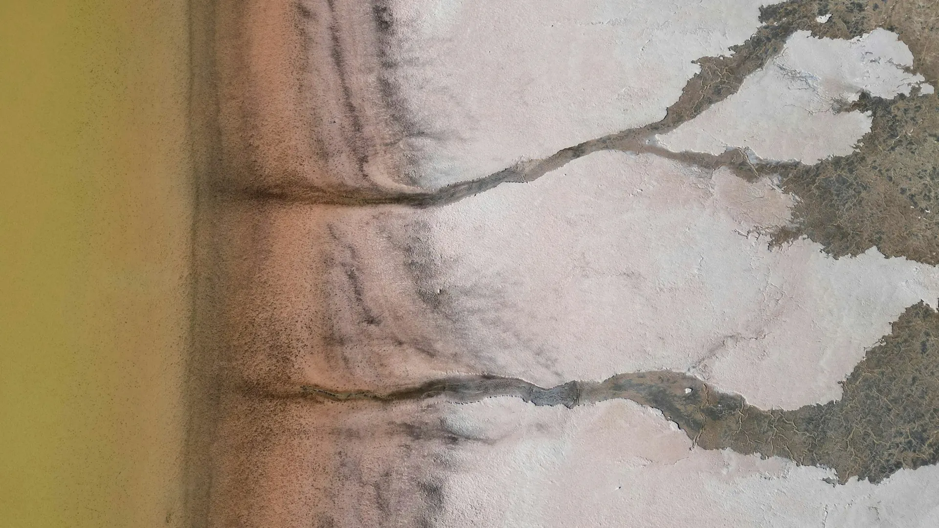 An abstract aerial of land meeting water, like a coastline mapped from orbit