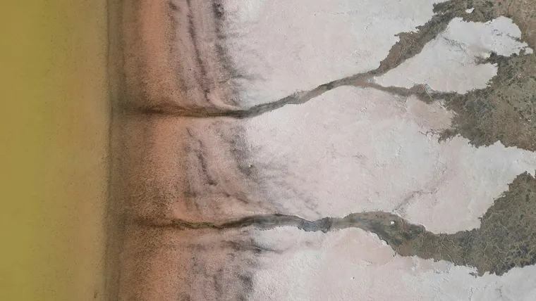 An abstract aerial of land meeting water, like a coastline mapped from orbit