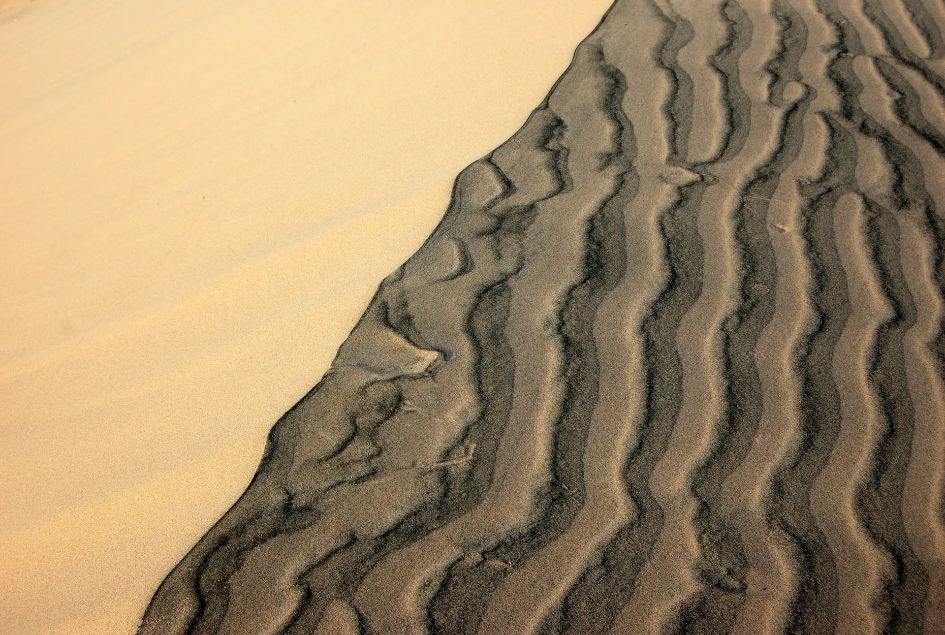 Wind-carved ripple lines crossing a dune, a steady repeating pattern