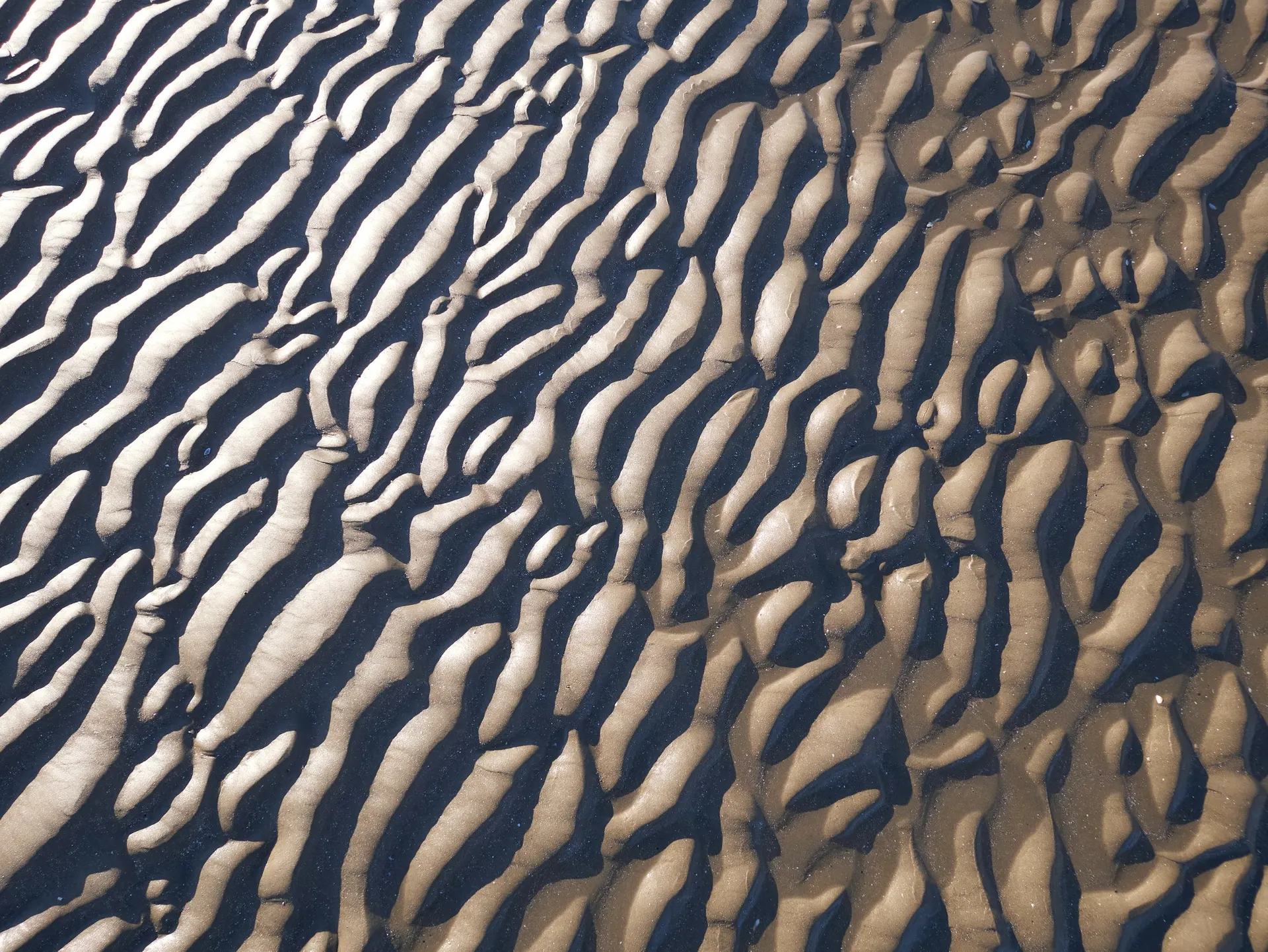 A close, geometric pattern of repeating ripples in shallow water