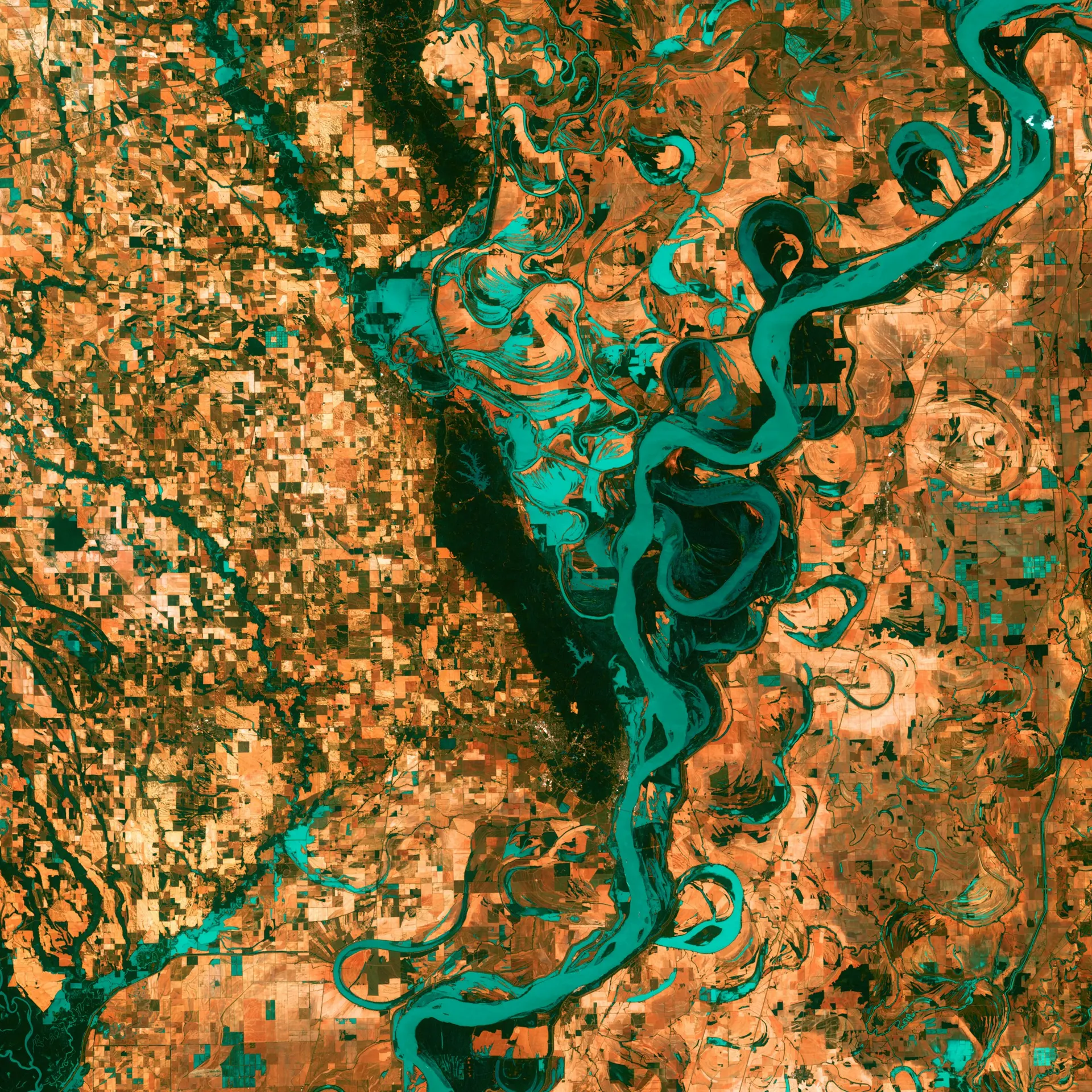 A satellite view of vast terrain marked by circular volcanic features