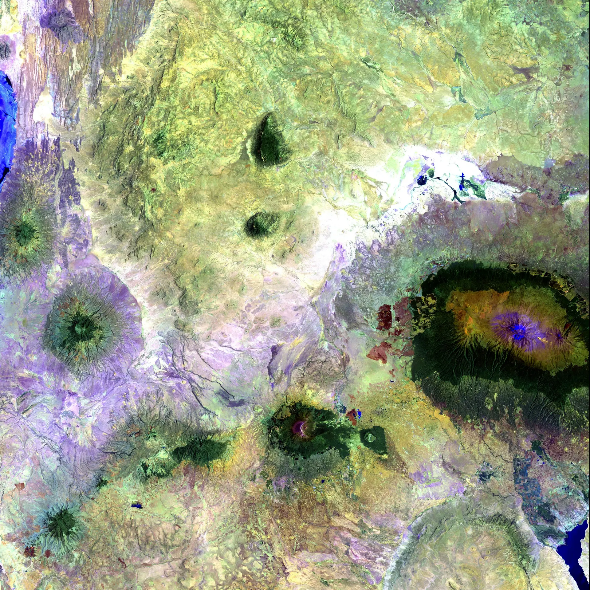 A satellite view of farmland grids threaded by a meandering river